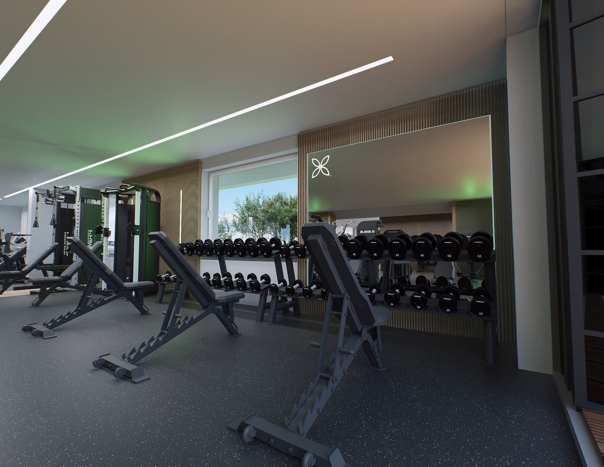 The dumbbell wall and mirrors on the strength floor